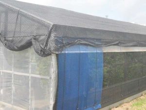 Blue Windproof Net