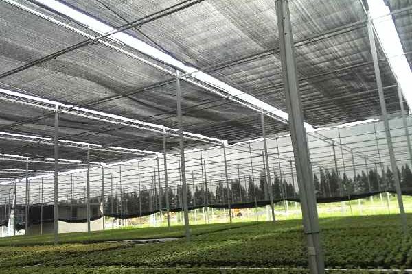 Flat Type Shade Net House