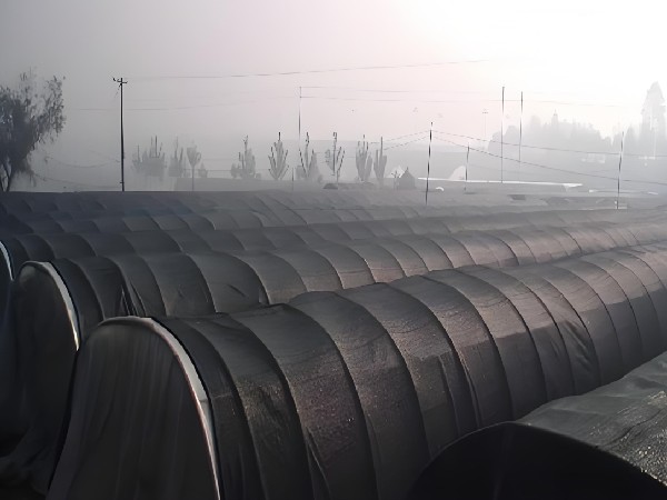 Large-scale poly farming using shade nets