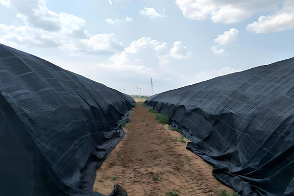 Polytunnel Shade Cloth Guide