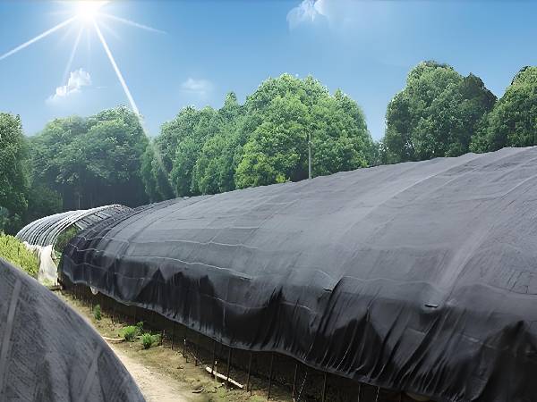 The shade net can block intense sunlight.