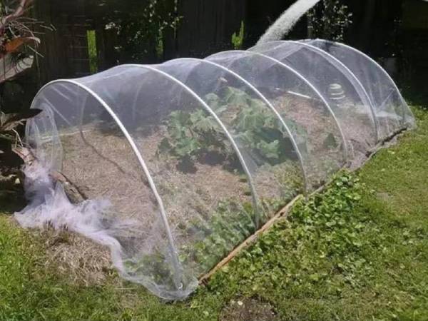Polytunnel insect netting for home use