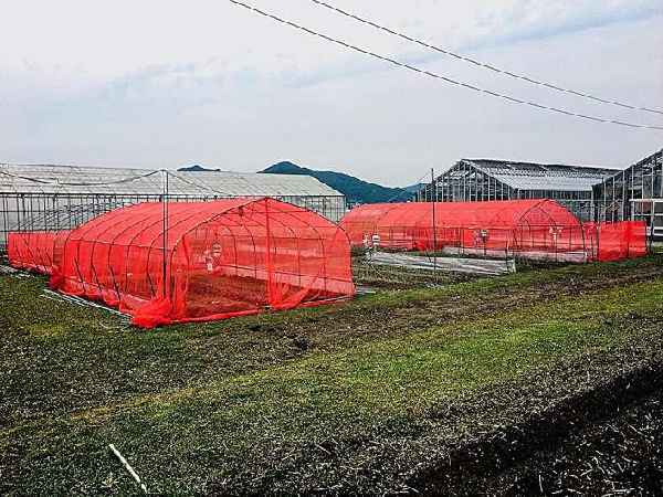 Red insect netting in specialized applications