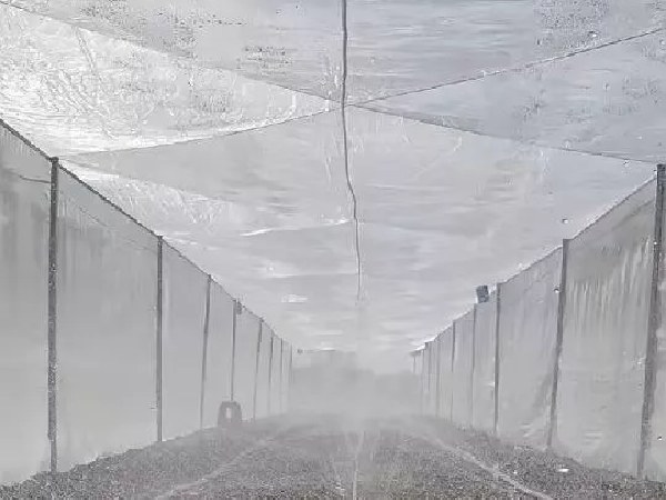 Disinfected greenhouse fully covered with insect netting