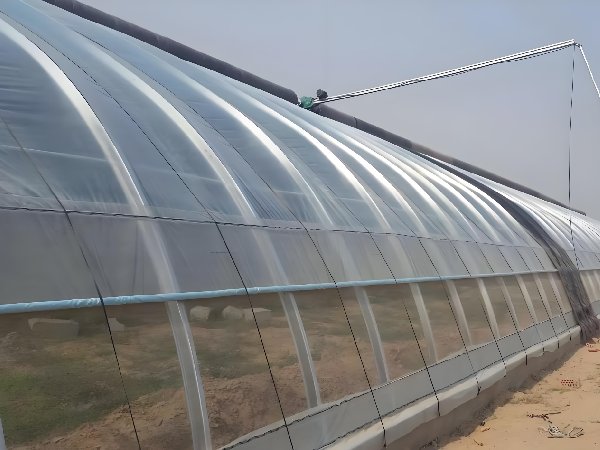 Greenhouse equipped with thrip netting