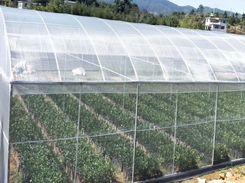 Greenhouse insect netting helps reducing pesticide use