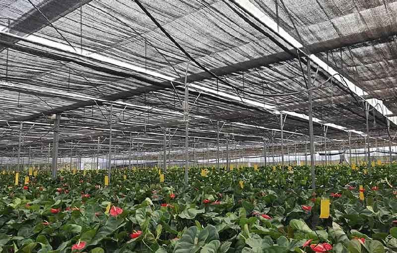 greenhouse shade cloth
