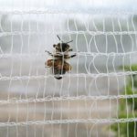 Сетка от пчел для деревьев
