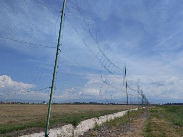 Yining Airport Protection