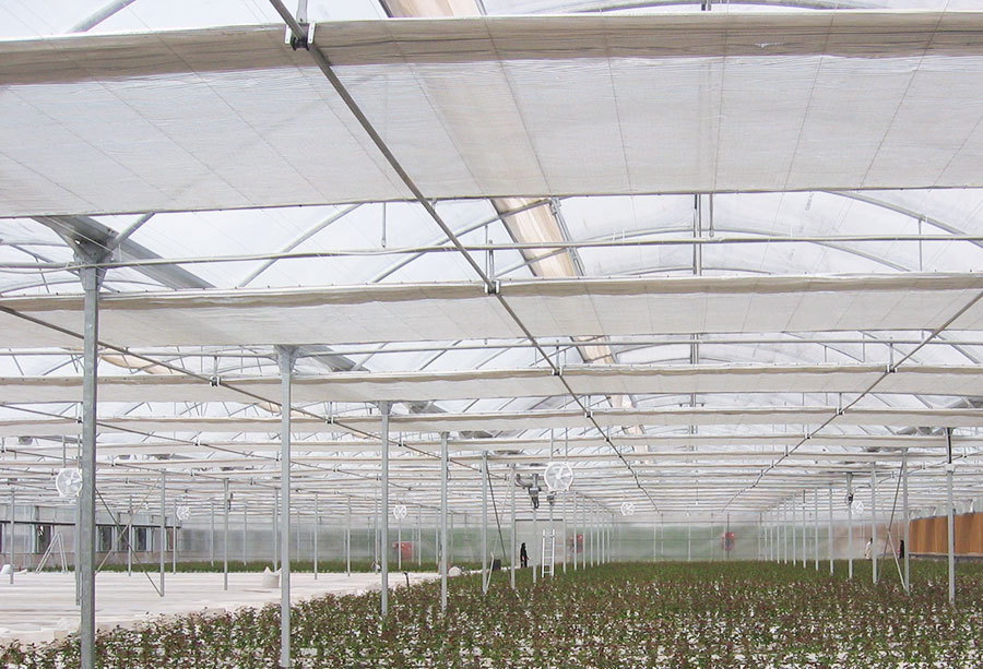 AAS Aluminum Thermal Screen for Greenhouse