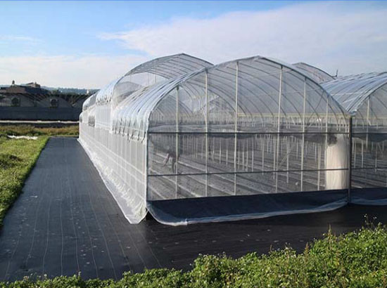 insect screen for greenhouse